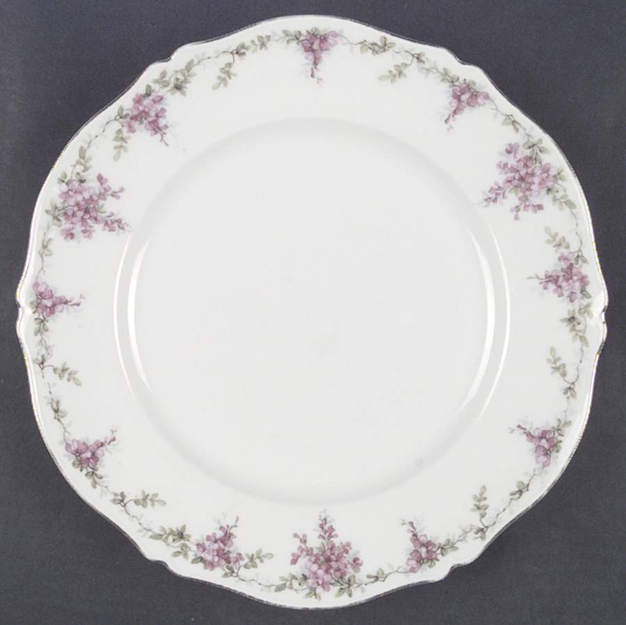 LSS81 Dinner Plate by Lazarus Straus & Sons-1