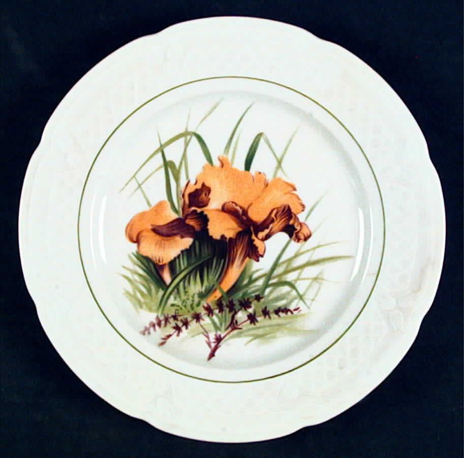 LOL13 Salad Plate by Louis Lourioux-1