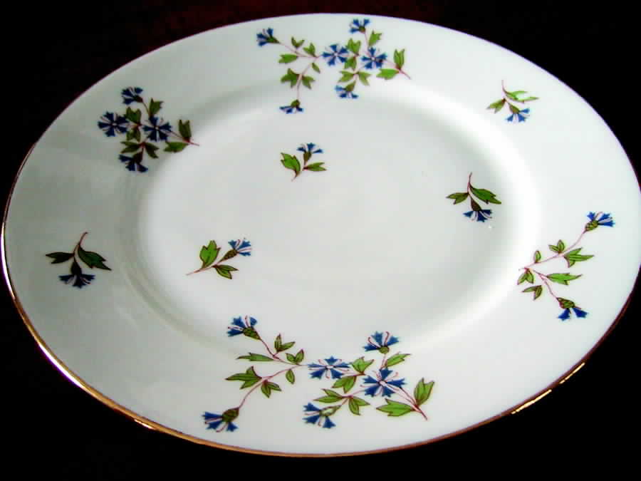 MHL15 Dinner Plate by Michelaud Freres-1