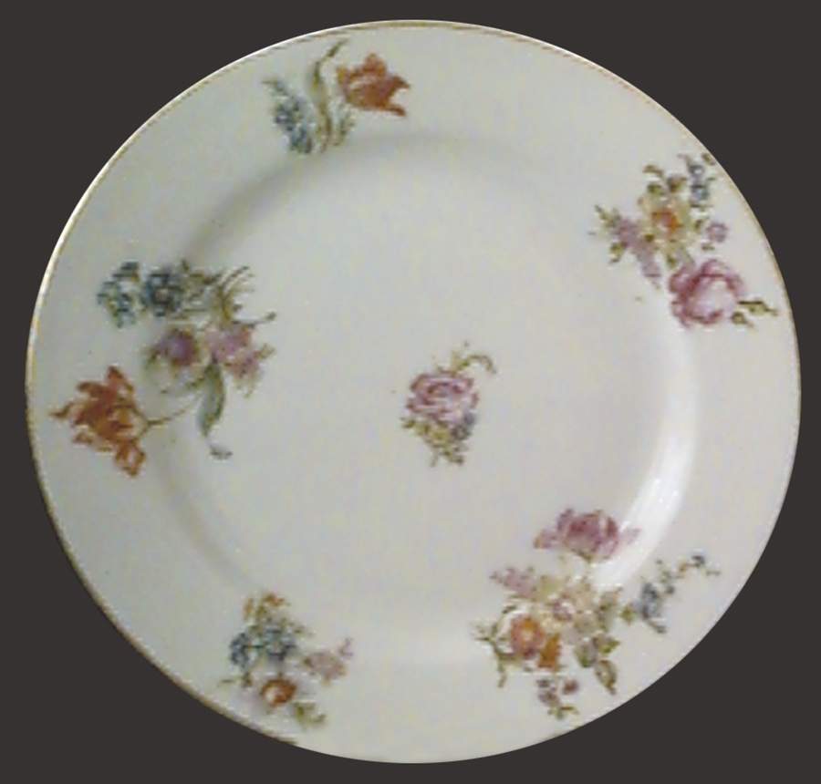 LIM129 Dinner Plate by Limoges-French-1