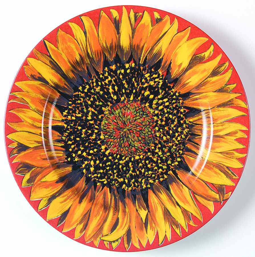 Tournesol Orange Salad/Dessert Plate by Laure Japy-1