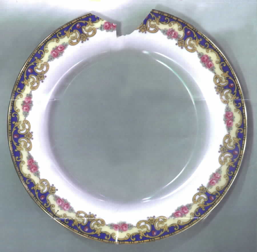 LIM133 Dinner Plate by Limoges-French-1