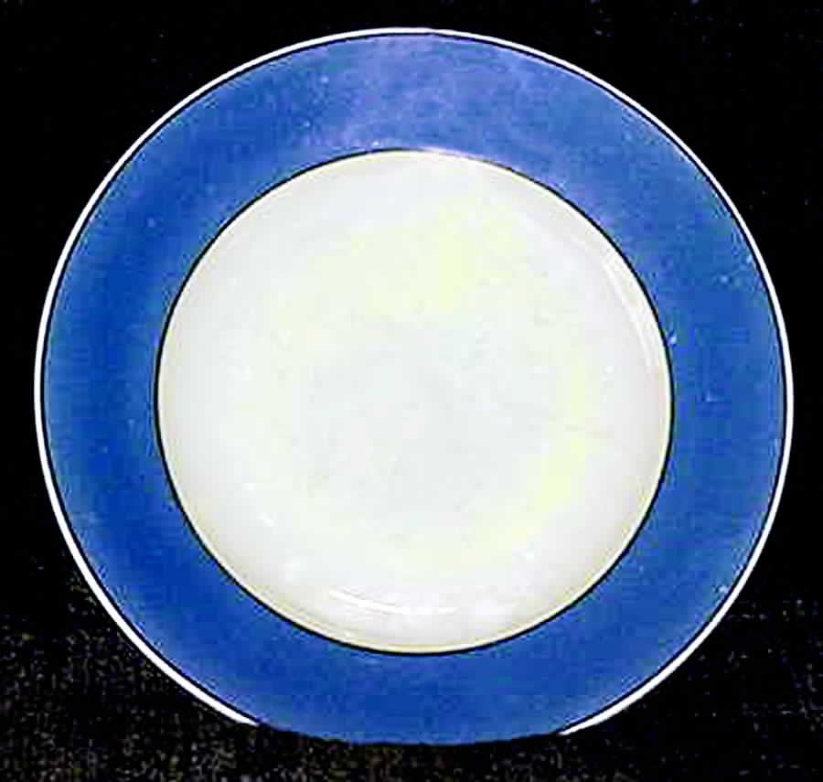 LZ1 Salad Plate by Laurel (Czech)-1