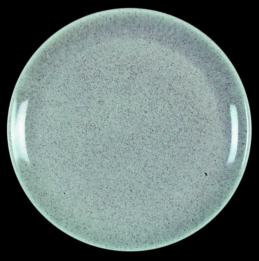 California Living White Sand Dinner Plate by Laurel (USA)-1