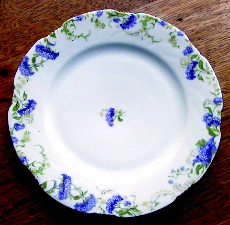 LIM145 Dinner Plate by Limoges-French-1