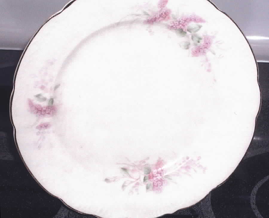 LAB6 Dinner Plate by La Belle-1