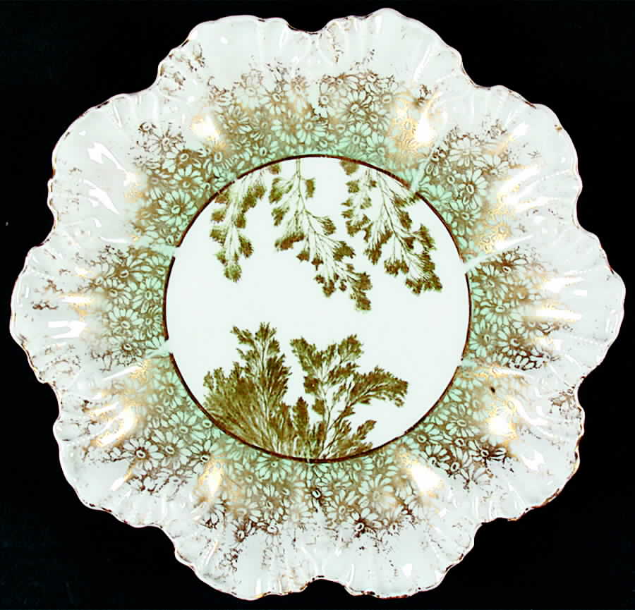 LNT164 Luncheon Plate by Lanternier-1