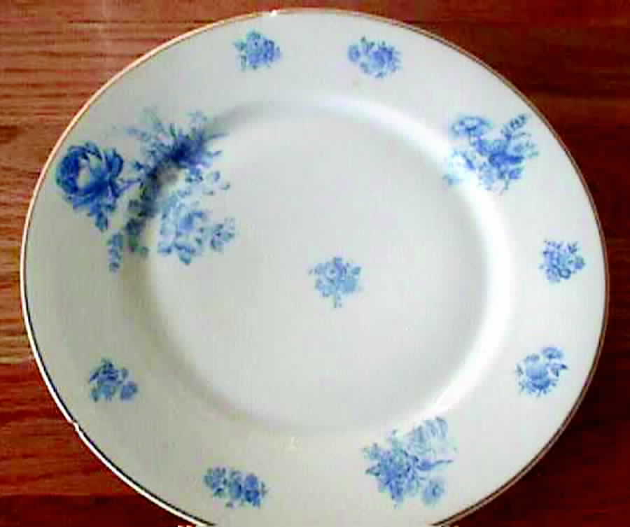 LIM151 Dinner Plate by Limoges-French-1