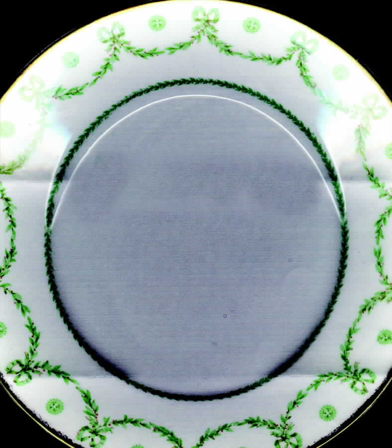 LIM158 Dinner Plate by Limoges-French-1