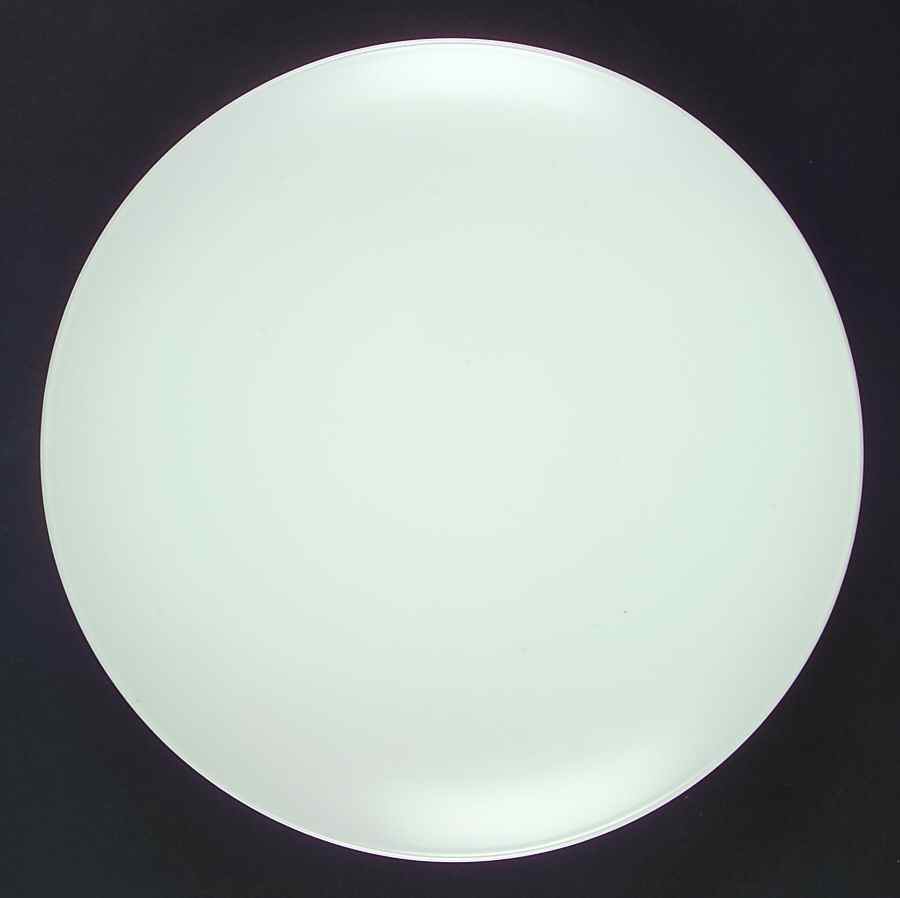 Coquina Dinner Plate by Lynn's China-1