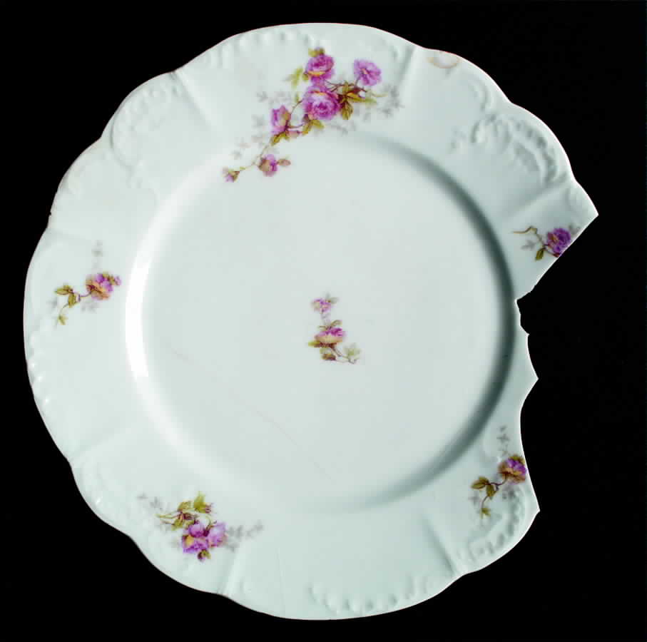 LSS99 Dinner Plate by Lazarus Straus & Sons-1