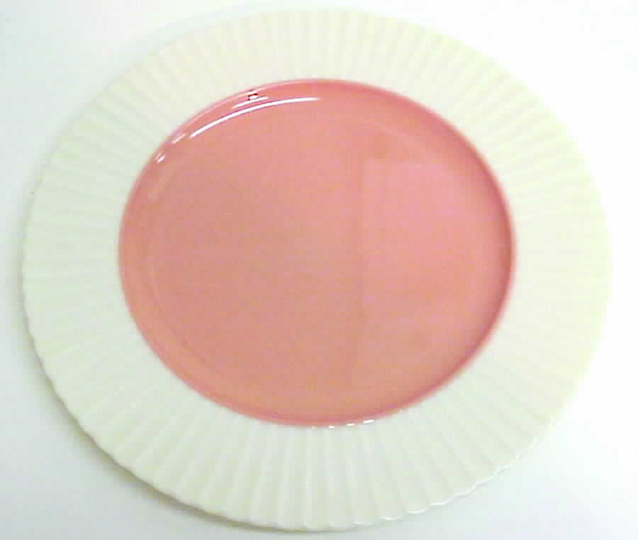 Temple (Coral Center) Dinner Plate by Lenox-1