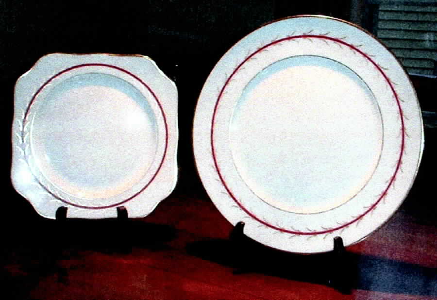 LAM40 Square Salad Plate by Lamberton-1