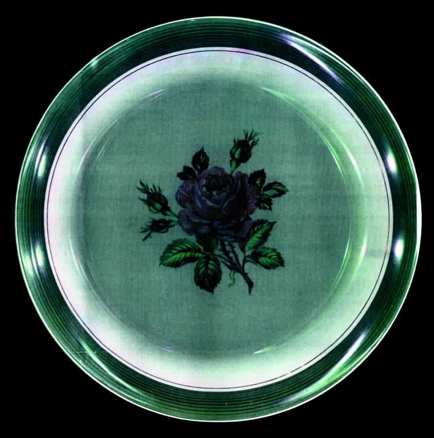 Meadow Rose Dinner Plate by Limoges-American-1