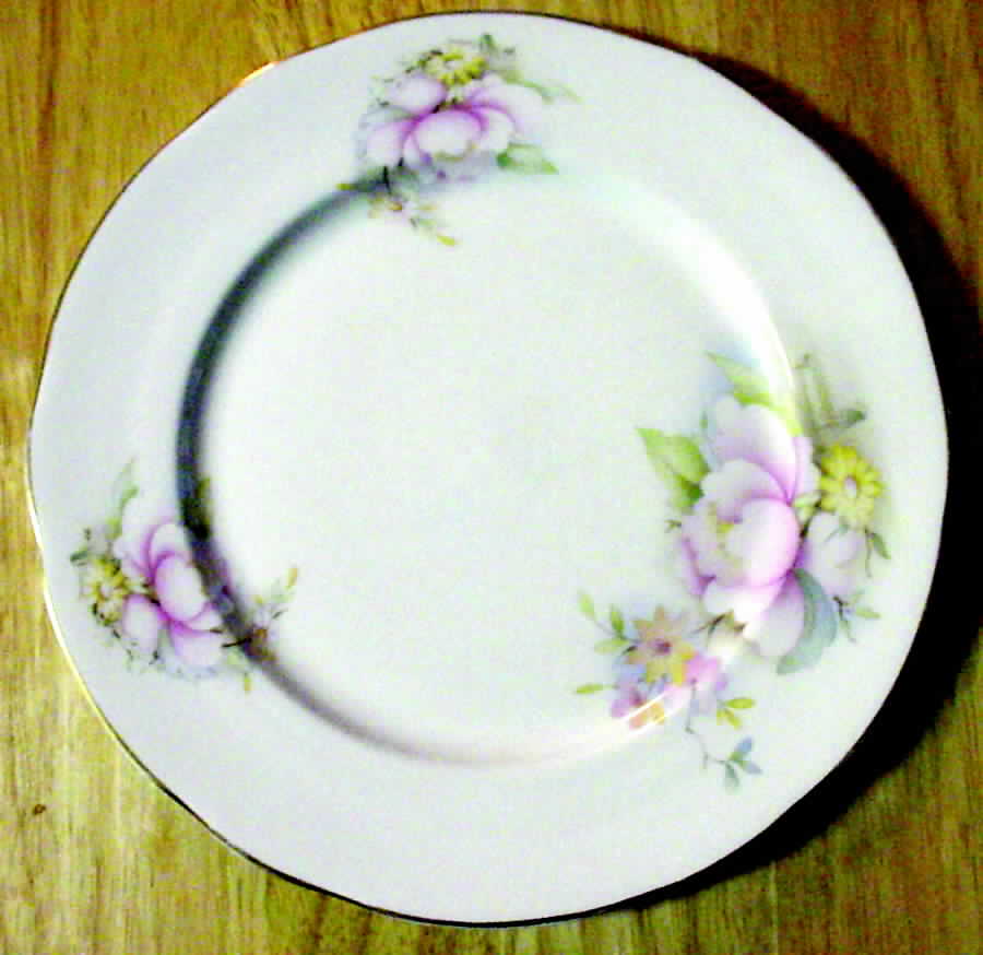 LDP1 Dinner Plate by Lindrick-1