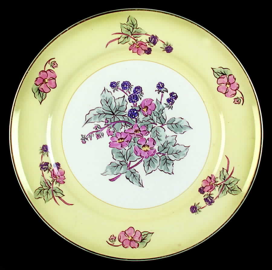 Blackberry Dinner Plate by Limoges-American-1