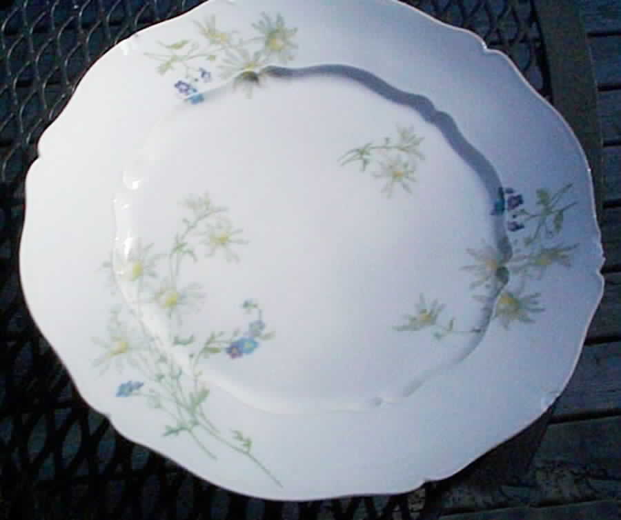 LNT174 Dinner Plate by Lanternier-1