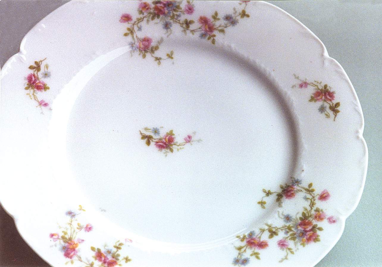 LRI4 Dinner Plate by LRL Limoges-1