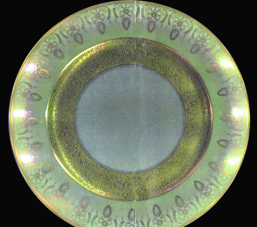LIM189 Dinner Plate by Limoges-French-1