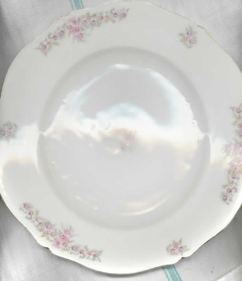 1235 Dinner Plate by Lazarus Straus & Sons-1