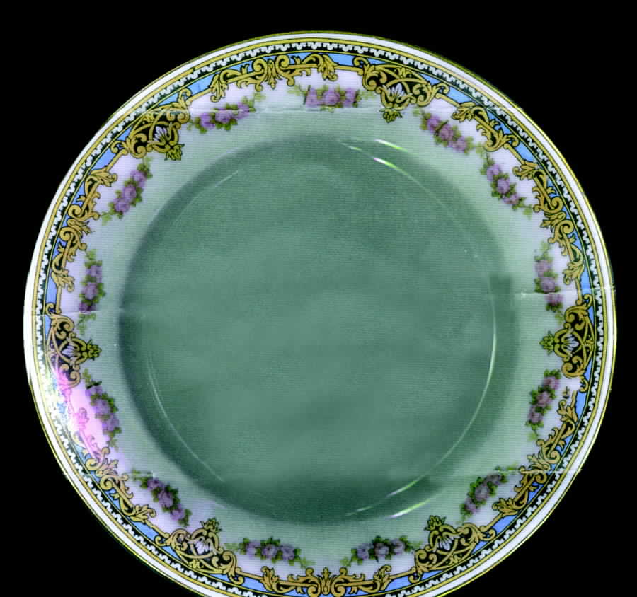 LIM193 Dinner Plate by Limoges-French-1