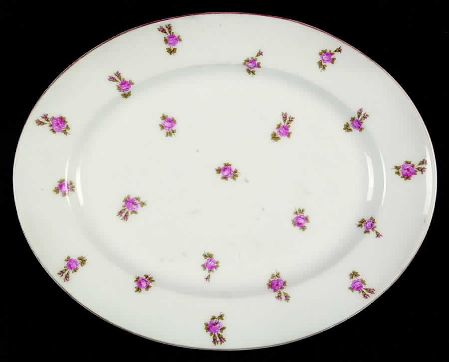LIM197 11" Oval Serving Platter by Limoges-French-1