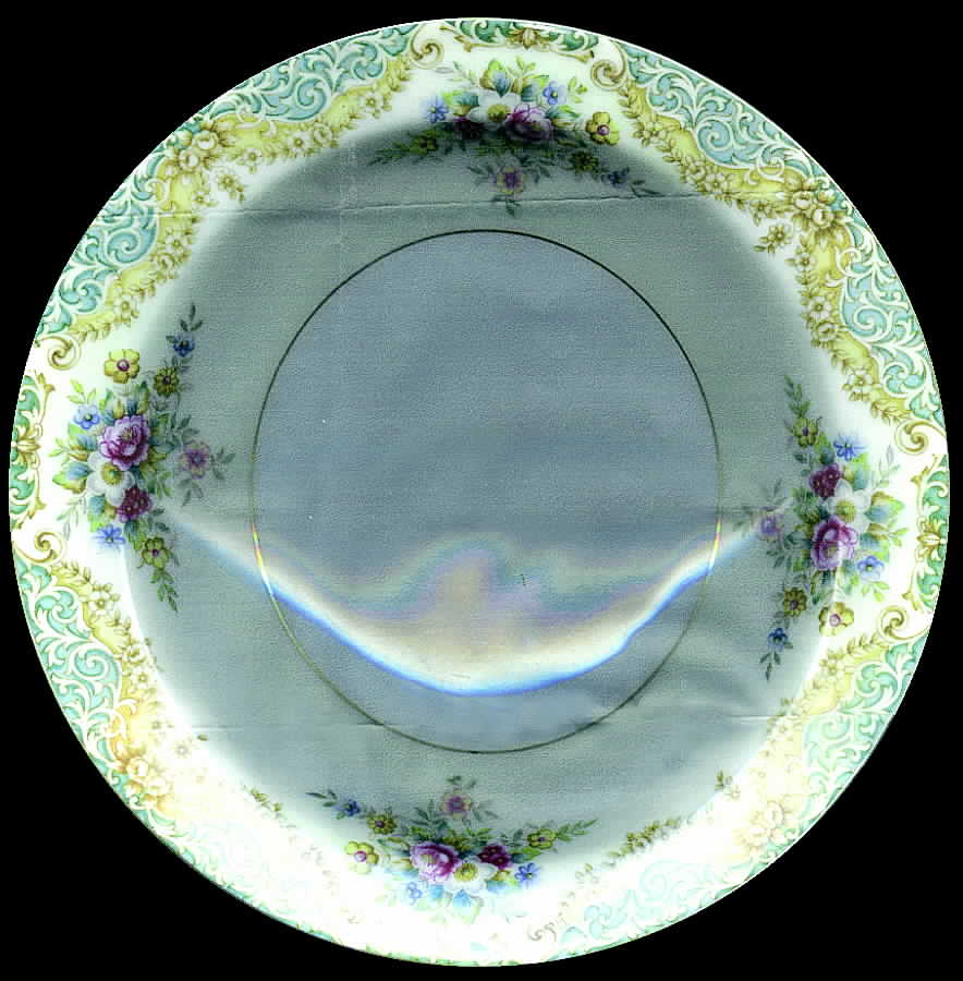 LIY3 Dinner Plate by Lily-1