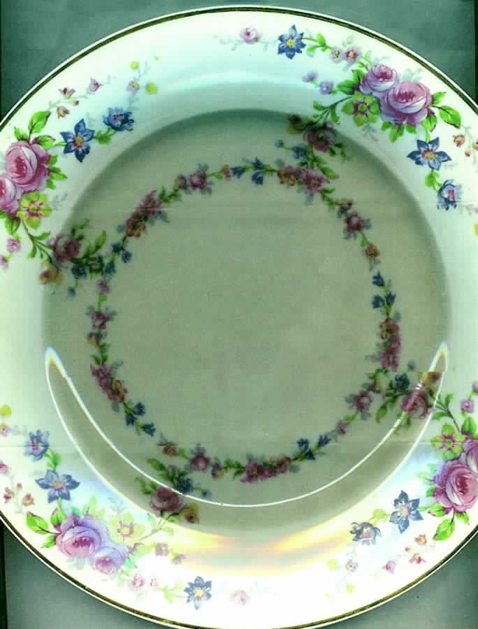 LIM201 Dinner Plate by Limoges-French-1