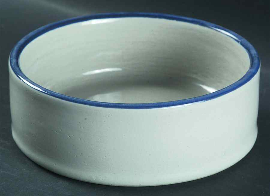 Blue Bands Small Pet Bowl by Louisville-1