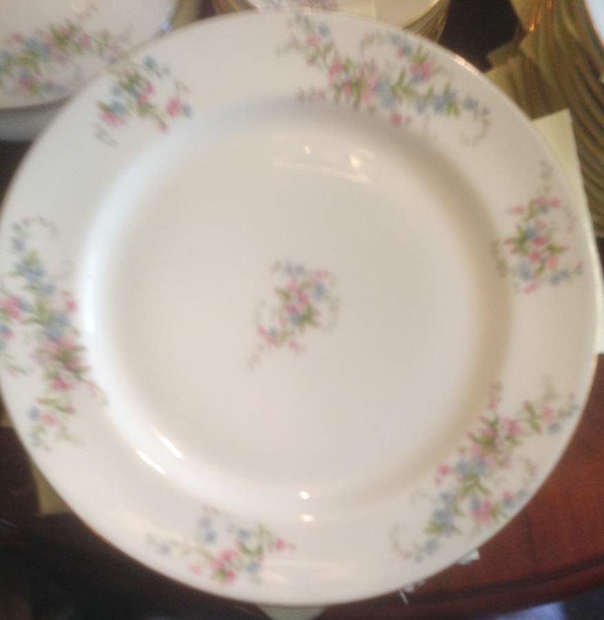 Lim206 Dinner Plate by Limoges-French-1