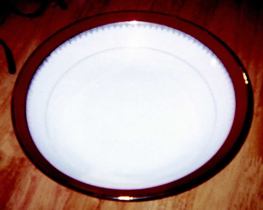 Lim208 Dinner Plate by Limoges-French-1