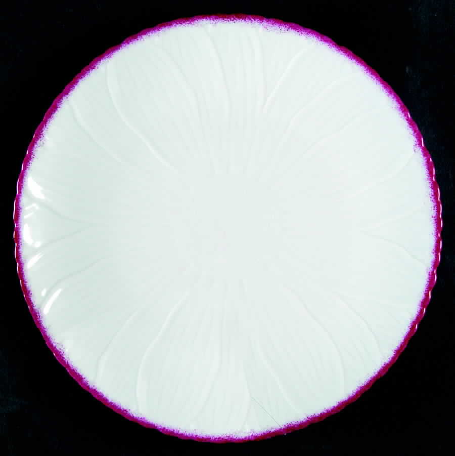 Lel15 Dinner Plate by LEC-Leclair Limoges-1
