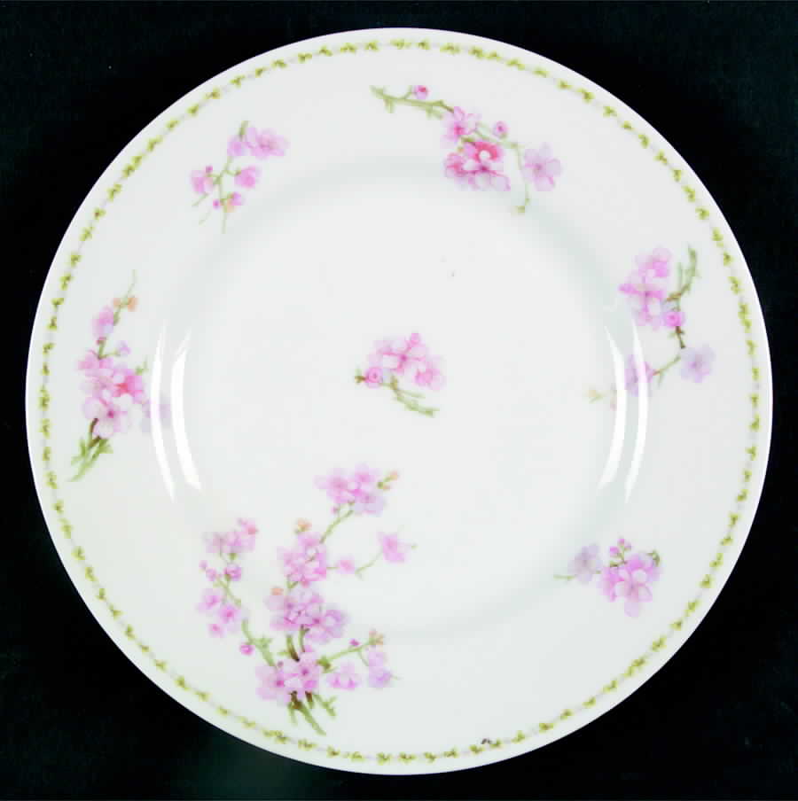 Lnt195 Dinner Plate by Lanternier-1