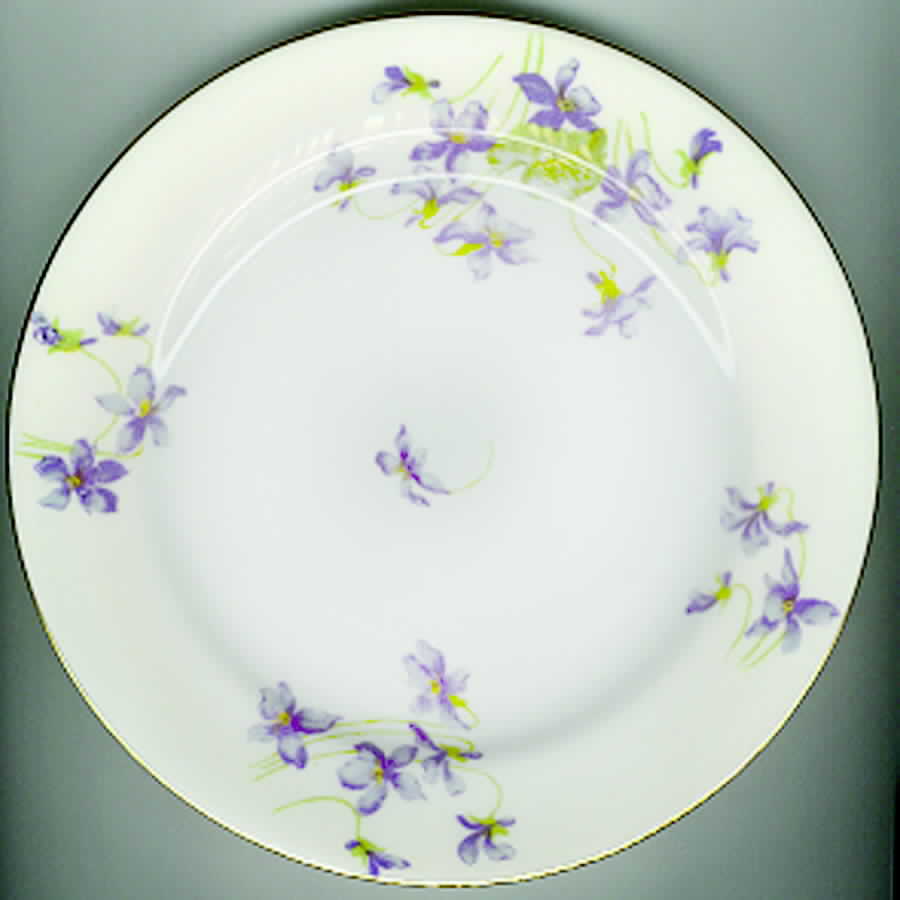 LIM213 Dinner Plate by Limoges-French-1