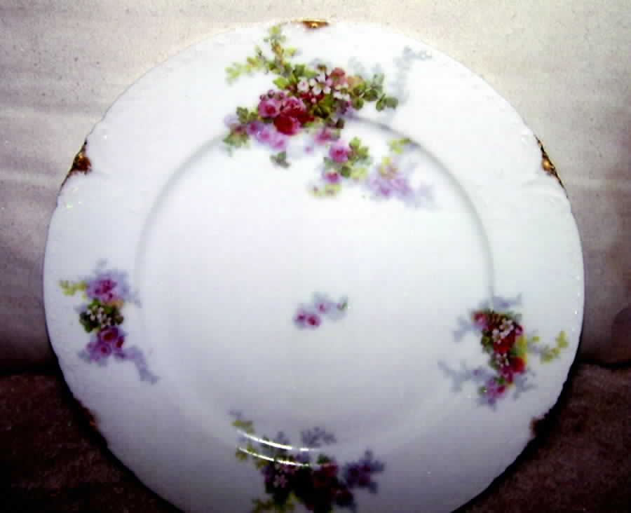 LEV2 Dinner Plate by Levy (Limoges)-1