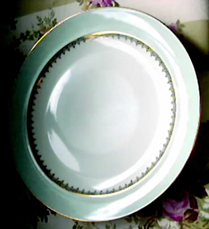LIM216 Dinner Plate by Limoges-French-1