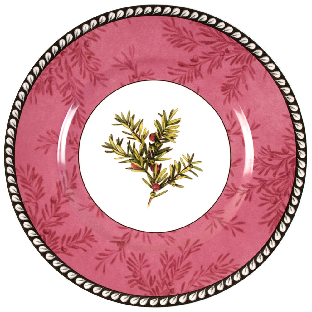 Etchings English Yew Accent Luncheon Plate by Lenox-1
