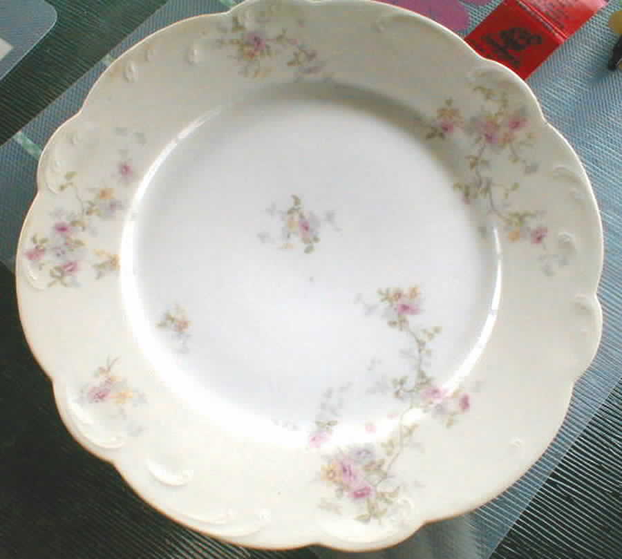 LNT204 Dinner Plate by Lanternier-1