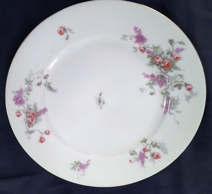LSS128 Dinner Plate by Lazarus Straus & Sons-1