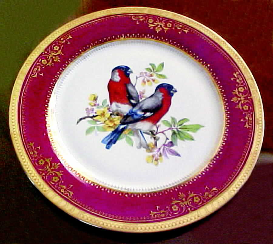 TOX19 Dinner Plate by Toyo-1