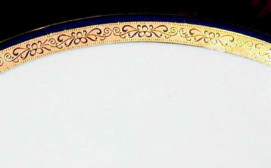 LIM232 Dinner Plate by Limoges-French-1