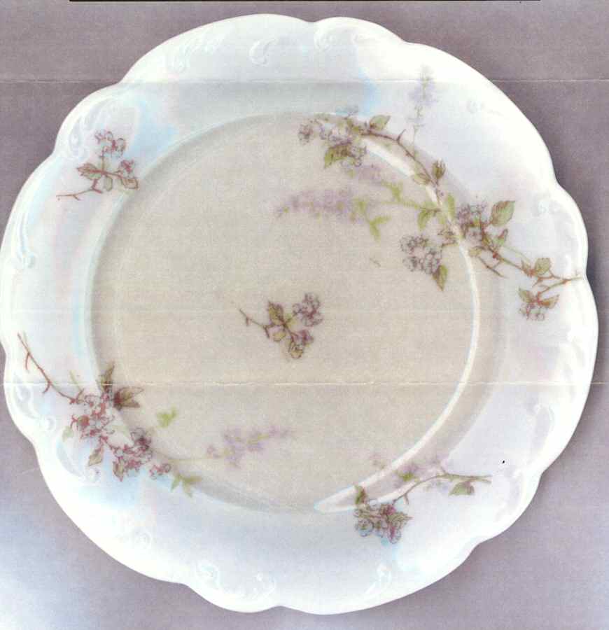 LNT206 Salad Plate by Lanternier-1