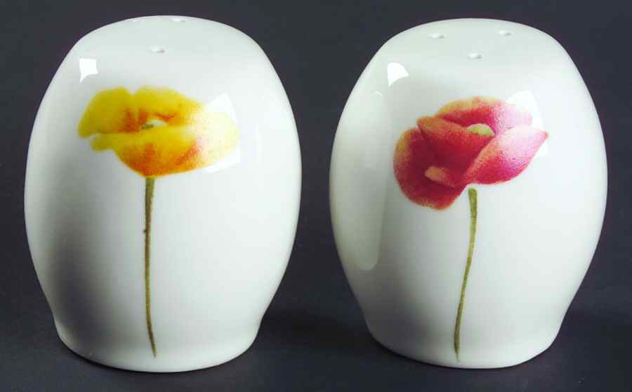 Ambroise Salt & Pepper Set by Lynn's China-1