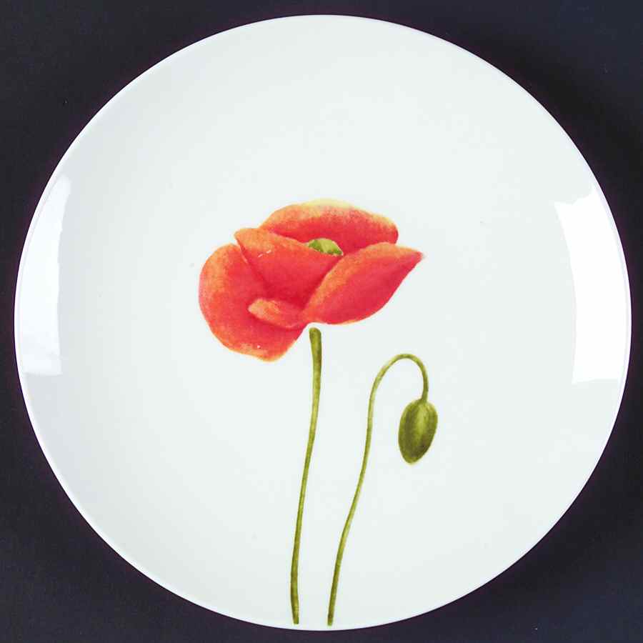Ambroise Salad Plate by Lynn's China-1