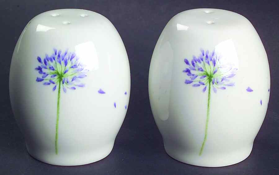 Alzirra Salt & Pepper Set by Lynn's China-1