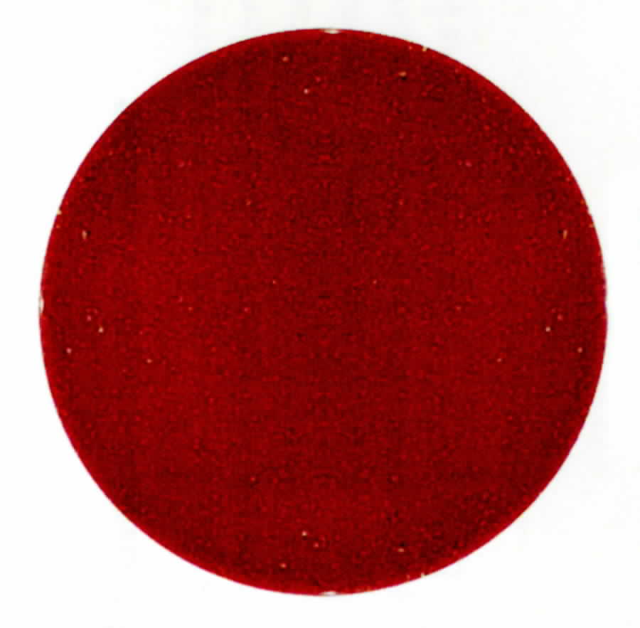 Rio Rancho Red Salad Plate by Lynn's China-1