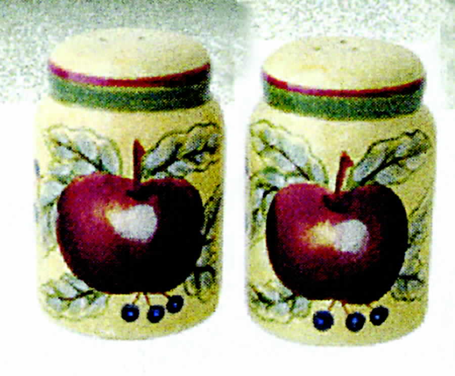 Apple Tartan Salt & Pepper Set by Lynn's China-1