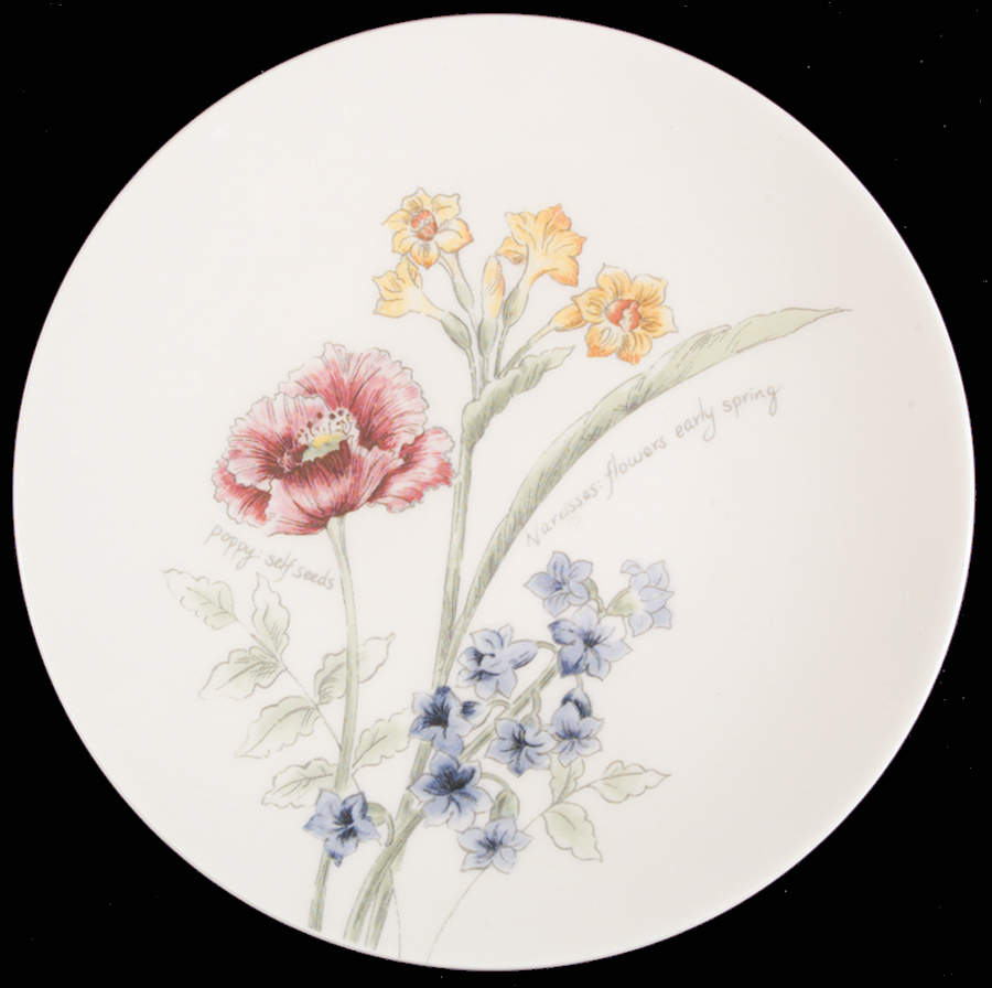 Artist Sketchbook Accent Luncheon Plate by Lenox-1