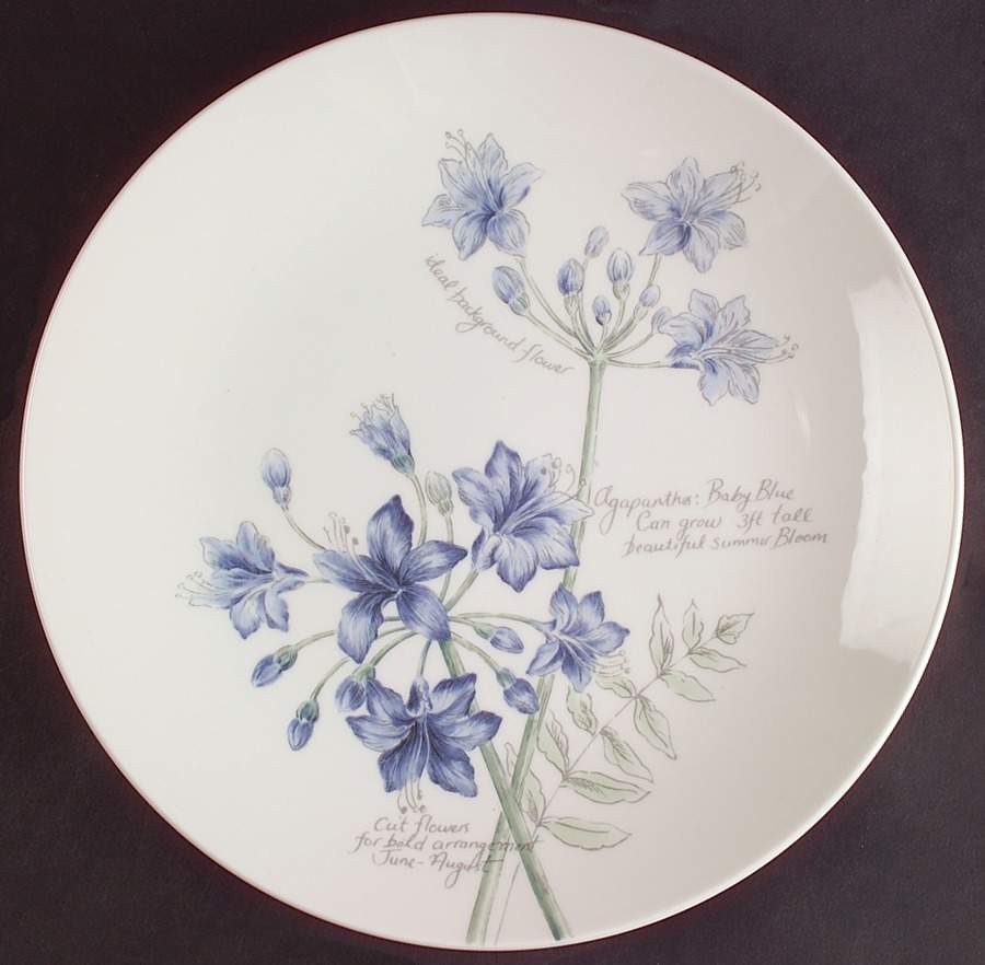 Artist Sketchbook Dinner Plate by Lenox-1