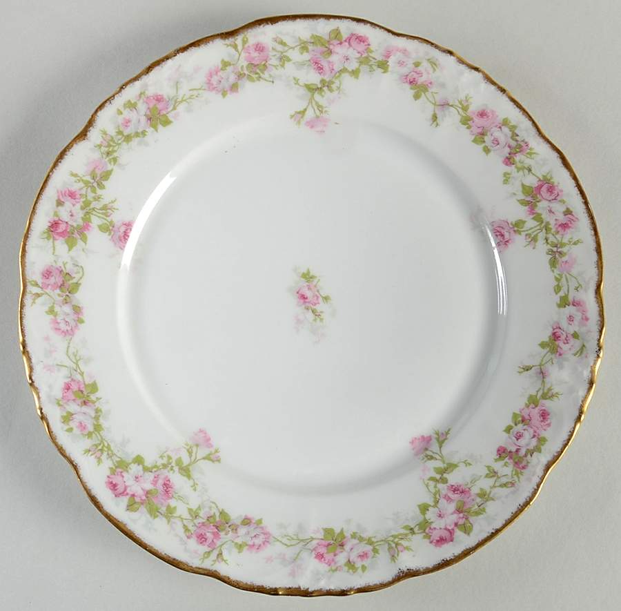 LSS137 Dinner Plate by Lazarus Straus & Sons-1
